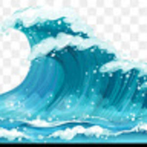 Meet your Posher, Bailey